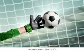 科里·西格尔赛季表现回顾